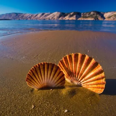 Rafaela Apartamento *